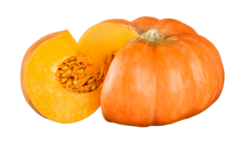Pumpkin